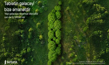 Bir depozit, bir ağac: Birbank-la yaşıl dünyaya öz töhfəni ver
