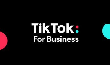 TikTok Azərbaycanda TikTok For Business platformasını təqdim edib