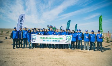 Bank of Baku-dan təbiətə qayğı – ağacəkmə aksiyası keçirilib - FOTO