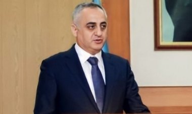 Fuad Nəcəfli: “Zəngəzur dəhlizi Naxçıvanın iqtisadi inkişafını sürətləndirməyə xidmət edəcək”