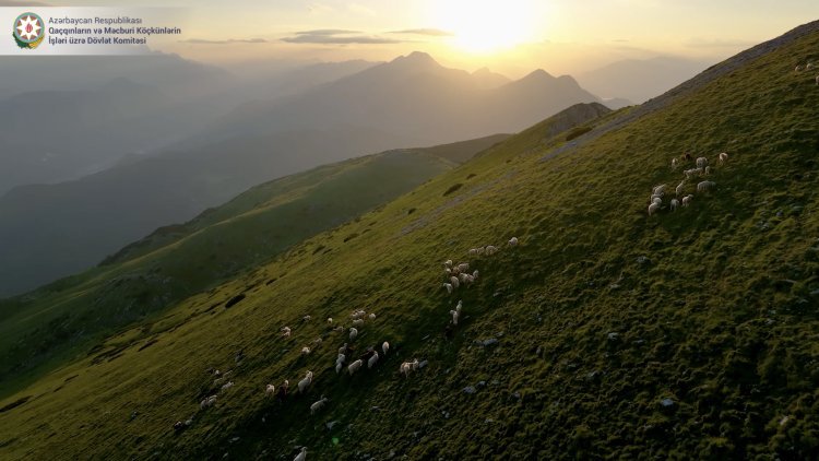 Kəlbəcər: Təbiətin səssiz nəğməsi