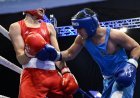 Azərbaycanın 5 boksçusu Avropa çempionatının finalında mübarizə aparacaq, 3-ü bürünc medal qazanıb