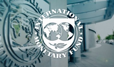 Qlobal İqtisadiyyat: BMF-in Təhlükəli Proqnozu – Artan proteksionizm riski