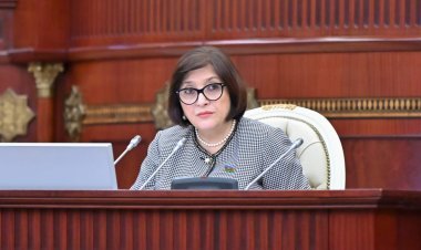 Sahibə Qafarovanın sədrliyi ilə Milli Məclisin payız sessiyasında növbəti plenar iclası keçirilib