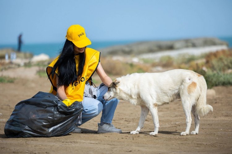 "Yelo Bank" komandası Mərdəkan çimərliyində təmizlik aksiyası həyata keçirib