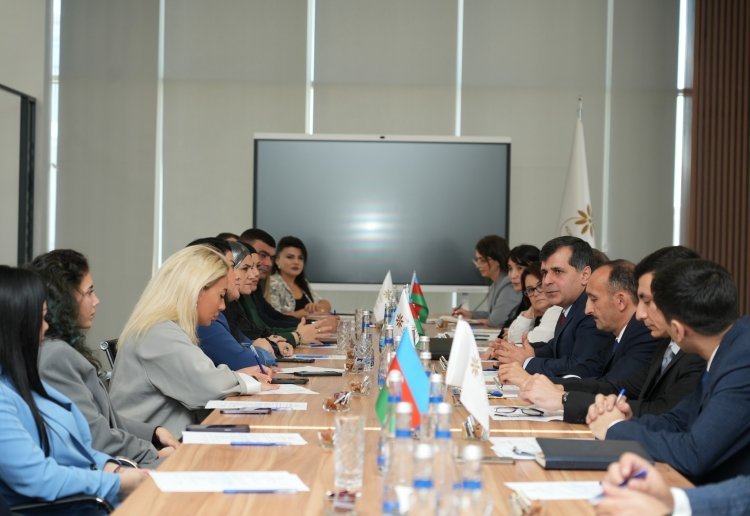 “Biznesin müflisləşməsi” işçi qrupunun sahibkarlıq subyektləri ilə görüşü keçirilib