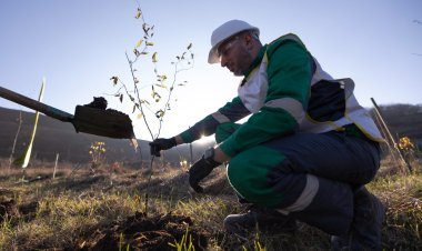 “AzerGold” QSC tərəfindən “Zəfər Günü” münasibətilə Göygöl və Daşkəsən rayonlarında ağacəkmə aksiyaları təşkil edilib