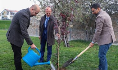 QDF-in dəstəyi ilə Horovlu kəndində ağacəkmə aksiyası keçirilib