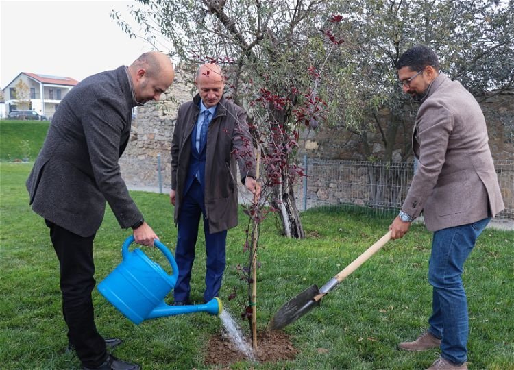 QDF-in dəstəyi ilə Horovlu kəndində ağacəkmə aksiyası keçirilib