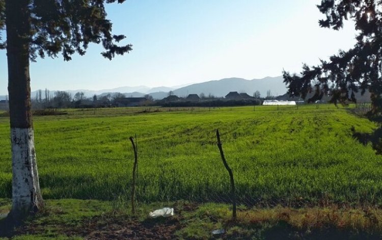 Kənd təsərrüfatı təyinatlı torpağın var, amma  suyun yoxdur: Bu torpaqlar niyə susuzluğa məhkum edilir? - ADSEA-dan açıqlama