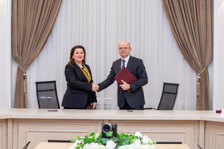 Naxçıvanda ümumi gücü 50 MVt olan günəş elektrik stansiyaları layihələri üzrə müqavilələr imzalanıb