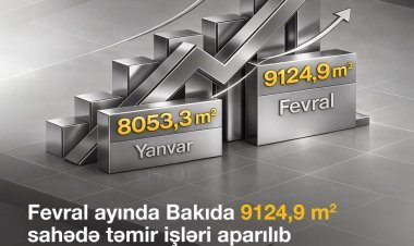 Fevralda Bakıda ümumilikdə 9 124,9 kvadrat metr sahədə cari təmir işləri həyata keçirilib - AAYDA