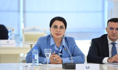 Valideynlər və təhsil sistemi qanunvericiliyə uyğun olaraq uşaqların internetdən istifadəsinə maksimum nəzarət etməlidirlər