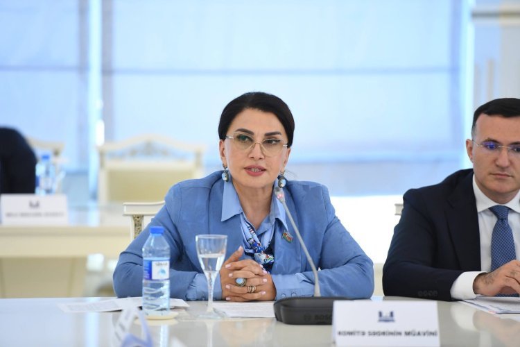 Valideynlər və təhsil sistemi qanunvericiliyə uyğun olaraq uşaqların internetdən istifadəsinə maksimum nəzarət etməlidirlər