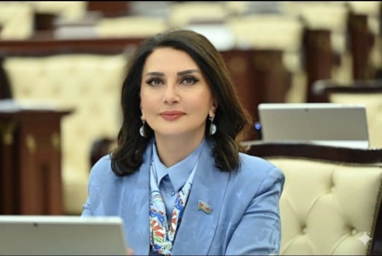 Milli Qurtuluş Günü müasir Azərbaycanın inkişafında da mühüm rol oynayıb - Jalə Əliyeva
