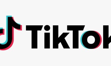 Brendlər üçün daha geniş imkanlar: TikTok “Cannes Lions” 2026- da yeni kreativ həllərini təqdim etdi